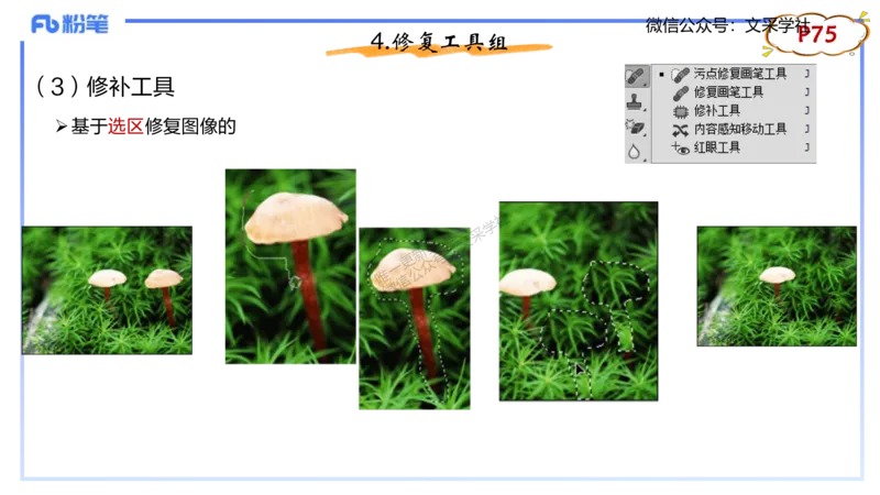 理论精讲06-多媒体技术2&middot;孙珍珍_4-教培资料-26年最新资料-同步更新_初中高中教资_03科三专项（进去保存报考的学科即可）_01科目三FB网课、三色速记手册、知识点导图等推荐