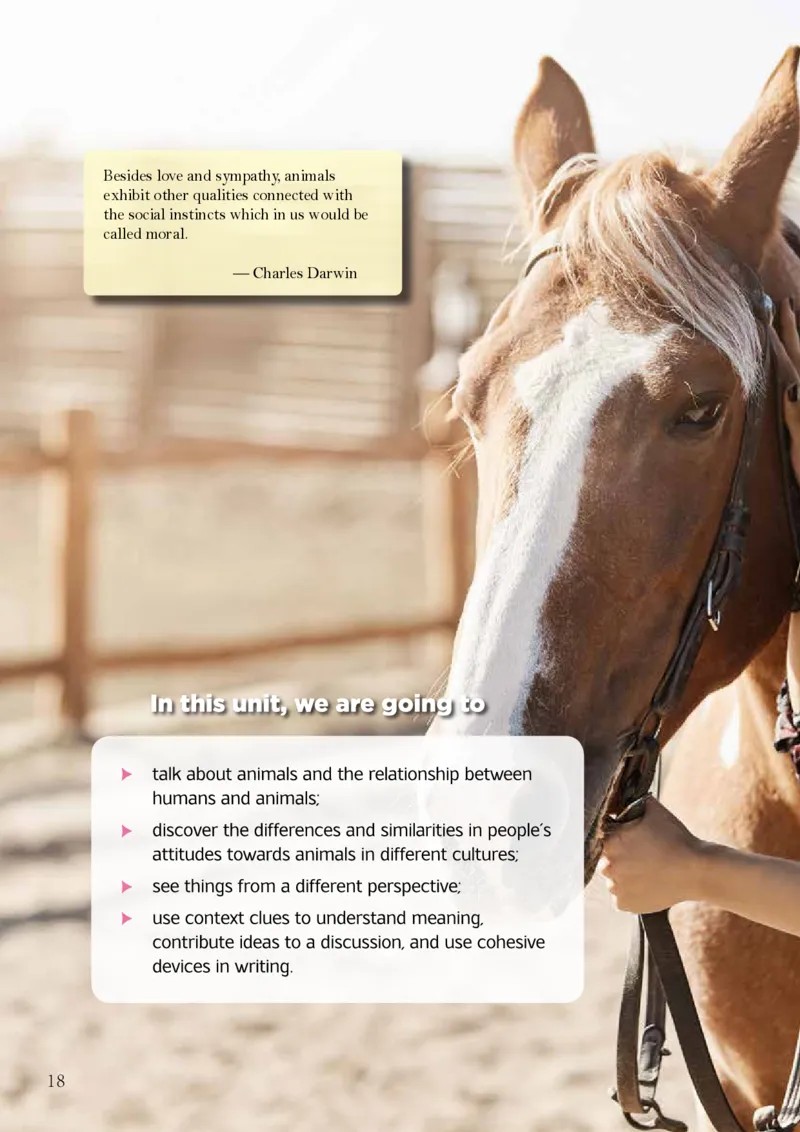 沪外教英语必修第二册高清教材_4-教培资料-26年最新资料-同步更新_初中高中教资_03科三专项（进去保存报考的学科即可）_02科三专项（笔记真题思维导图教学设计版本二）