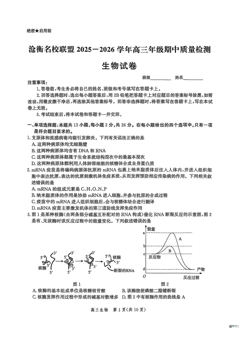 河北省沧衡名校联盟2025-2026学年高三上学期11月期中考试生物试题（含答案）_251118河北省沧衡名校联盟2025-2026学年高三上学期期中质量检测（全科）