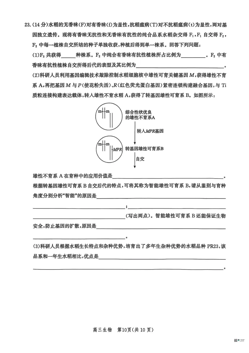 河北省沧衡名校联盟2025-2026学年高三上学期11月期中考试生物试题（含答案）_251118河北省沧衡名校联盟2025-2026学年高三上学期期中质量检测（全科）