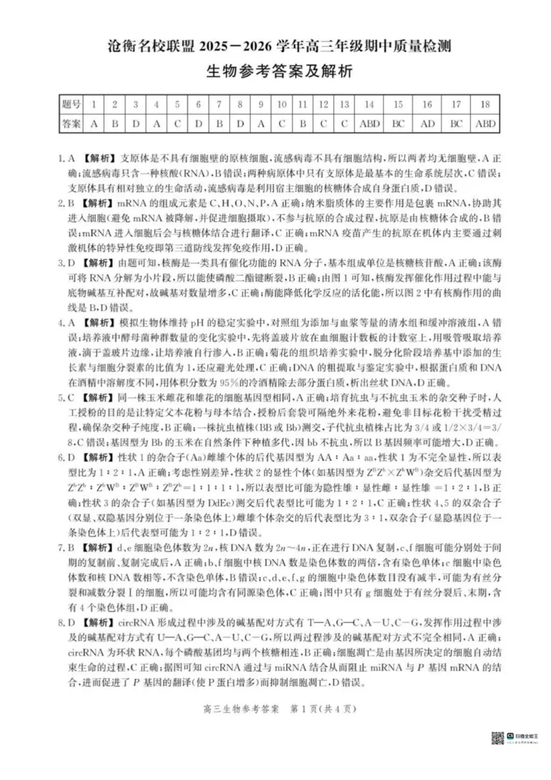 河北省沧衡名校联盟2025-2026学年高三上学期11月期中考试生物试题（含答案）_251118河北省沧衡名校联盟2025-2026学年高三上学期期中质量检测（全科）