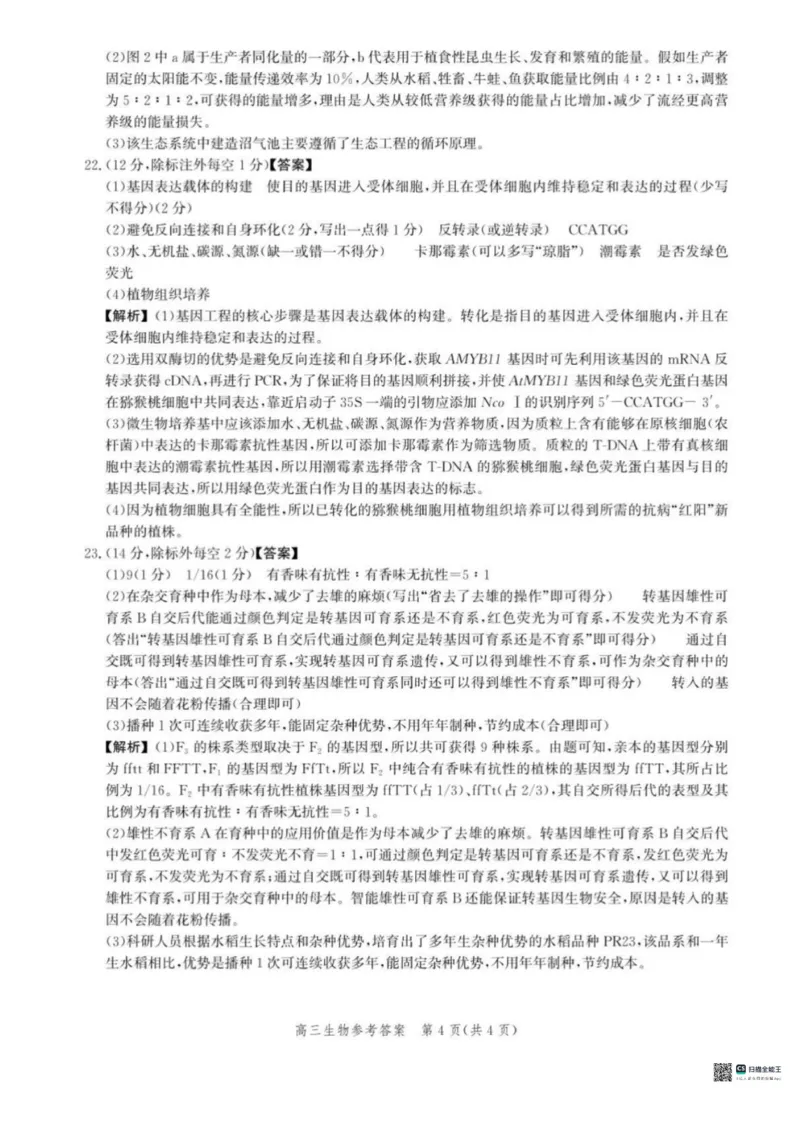 河北省沧衡名校联盟2025-2026学年高三上学期11月期中考试生物试题（含答案）_251118河北省沧衡名校联盟2025-2026学年高三上学期期中质量检测（全科）
