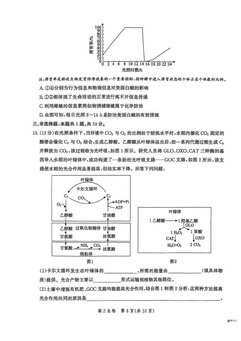 河北省沧衡名校联盟2025-2026学年高三上学期11月期中考试生物试题（含答案）_251118河北省沧衡名校联盟2025-2026学年高三上学期期中质量检测（全科）