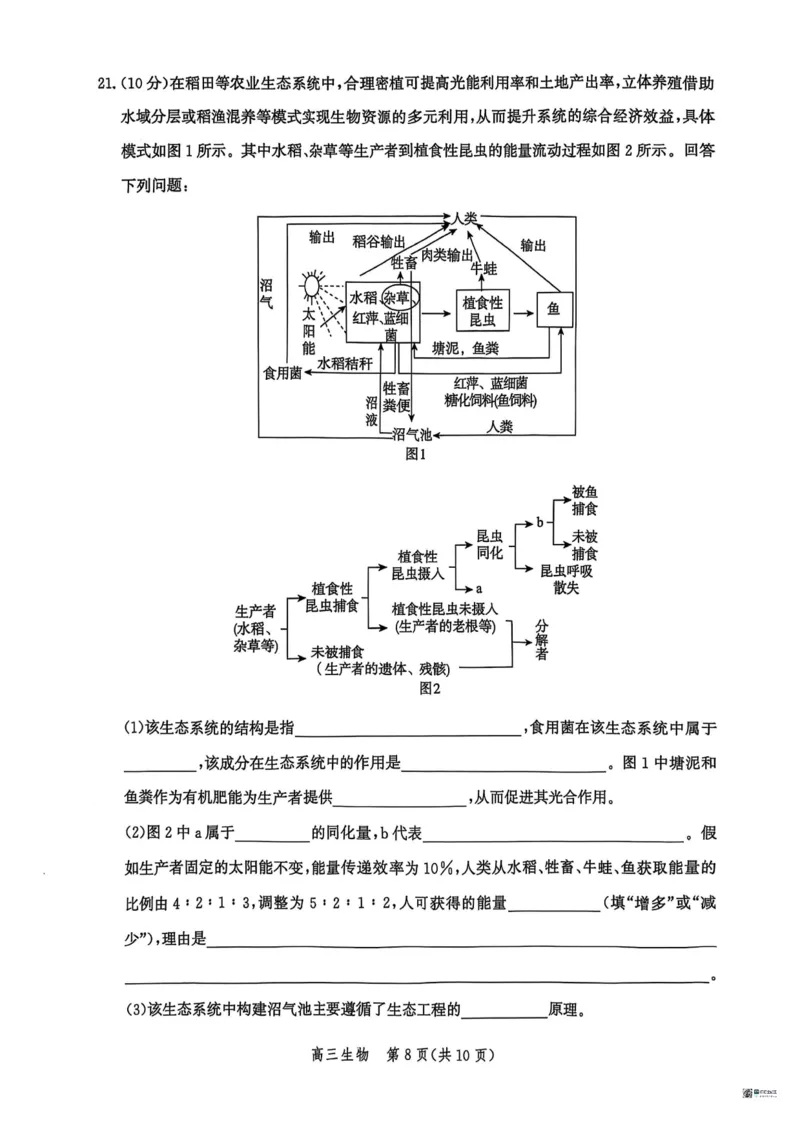 河北省沧衡名校联盟2025-2026学年高三上学期11月期中考试生物试题（含答案）_251118河北省沧衡名校联盟2025-2026学年高三上学期期中质量检测（全科）