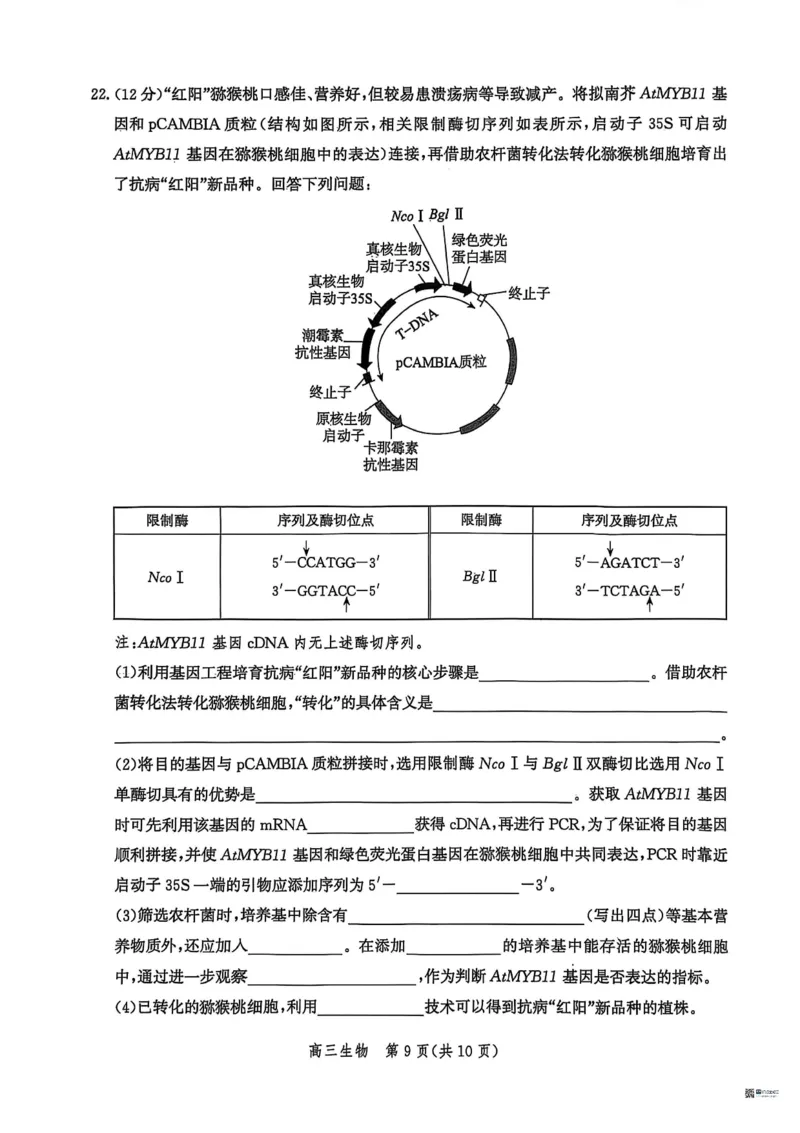 河北省沧衡名校联盟2025-2026学年高三上学期11月期中考试生物试题（含答案）_251118河北省沧衡名校联盟2025-2026学年高三上学期期中质量检测（全科）