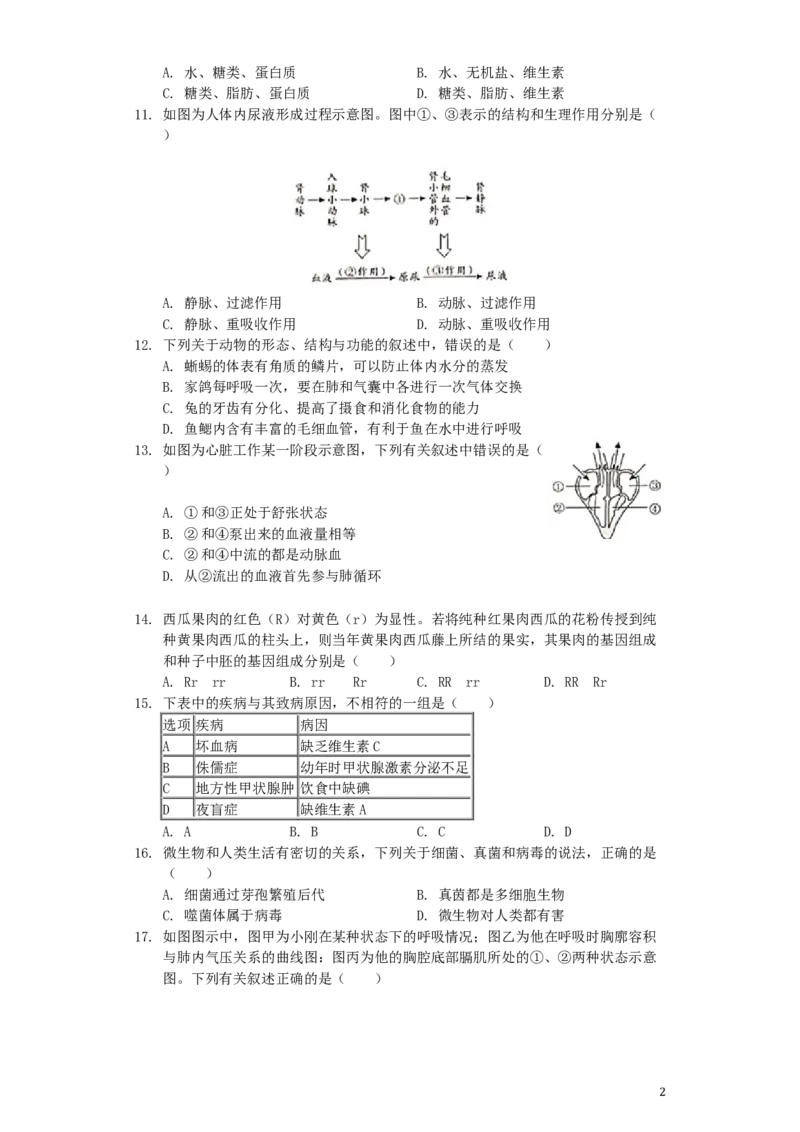 湖南省邵阳市2019年中考生物真题试题（含解析）_中考真题_8.生物中考真题2015-2024年_2019年全国中考生物92份