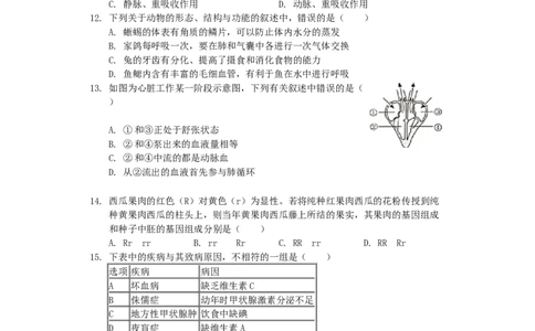 湖南省邵阳市2019年中考生物真题试题（含解析）_中考真题_8.生物中考真题2015-2024年_2019年全国中考生物92份