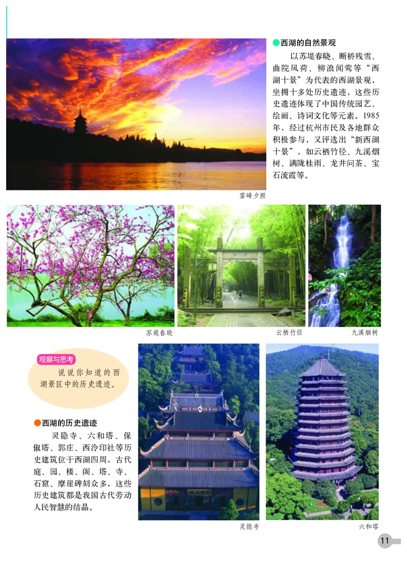 浙教版8年级美术下册高清教材_4-教培资料-26年最新资料-同步更新_初中高中教资_03科三专项（进去保存报考的学科即可）_02科三专项（笔记真题思维导图教学设计版本二）