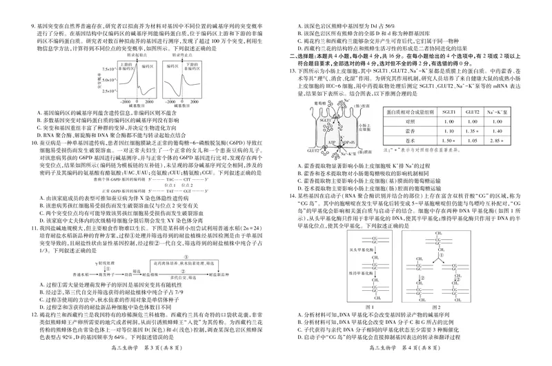 江西省2026届高三11月一轮复习阶段检测生物_251115上进联考&middot;江西省2026届高三11月一轮复习阶段检测（全）