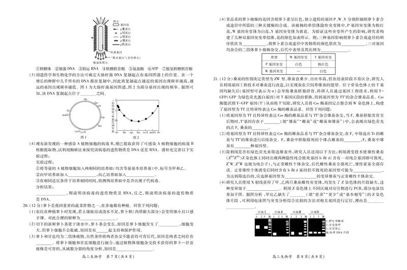 江西省2026届高三11月一轮复习阶段检测生物_251115上进联考&middot;江西省2026届高三11月一轮复习阶段检测（全）