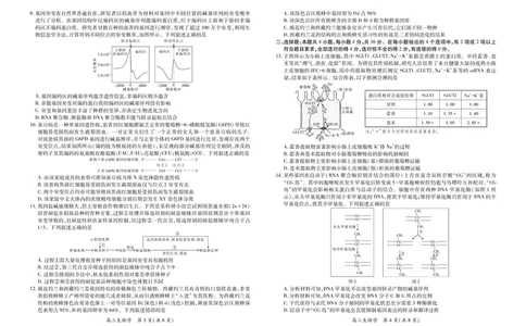 江西省2026届高三11月一轮复习阶段检测生物_251115上进联考&middot;江西省2026届高三11月一轮复习阶段检测（全）