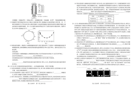 江西省2026届高三11月一轮复习阶段检测生物_251115上进联考&middot;江西省2026届高三11月一轮复习阶段检测（全）