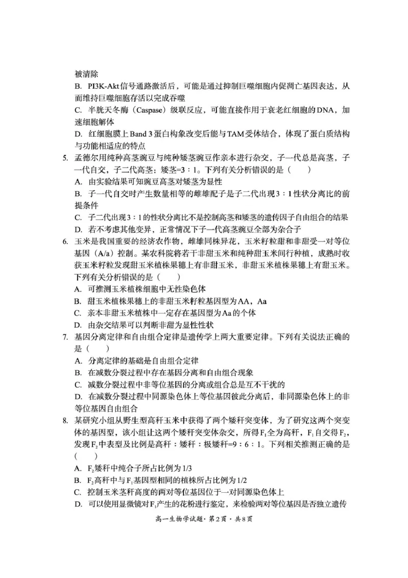 巴中市普通高中2024级年段学情检测生物+答案_2025年7月_250723四川省巴中市普通高中2024级年段学情检测（期末）（全科）