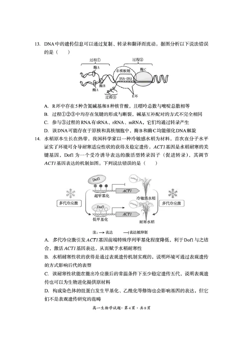 巴中市普通高中2024级年段学情检测生物+答案_2025年7月_250723四川省巴中市普通高中2024级年段学情检测（期末）（全科）