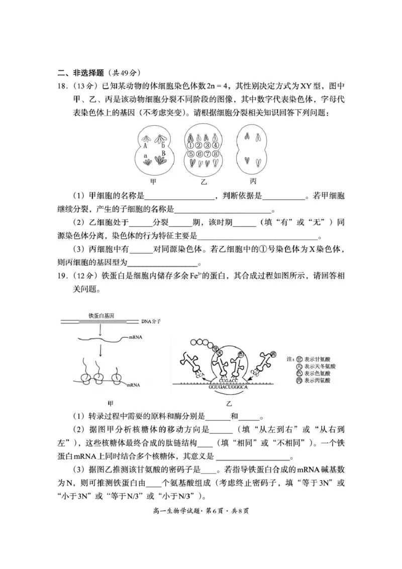 巴中市普通高中2024级年段学情检测生物+答案_2025年7月_250723四川省巴中市普通高中2024级年段学情检测（期末）（全科）