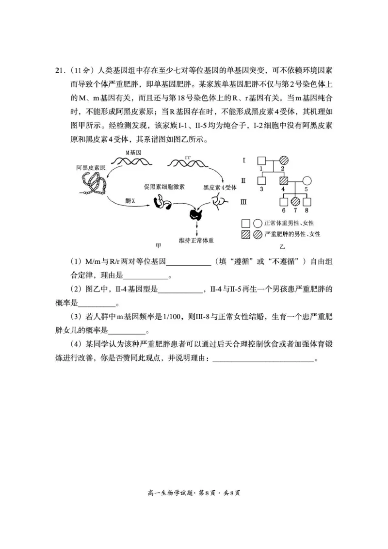 巴中市普通高中2024级年段学情检测生物+答案_2025年7月_250723四川省巴中市普通高中2024级年段学情检测（期末）（全科）
