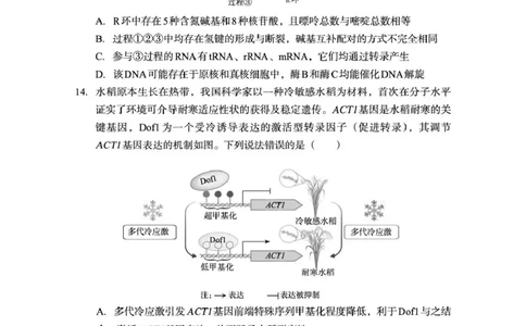 巴中市普通高中2024级年段学情检测生物+答案_2025年7月_250723四川省巴中市普通高中2024级年段学情检测（期末）（全科）