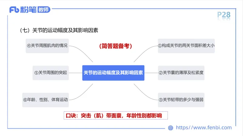 理论精讲-运动解剖学3_4-教培资料-26年最新资料-同步更新_科一科二电子资料合集中小幼（笔记真题知识点汇总等）文件多，按需保存_各机构笔记合集（中小幼）推荐_1理论精讲