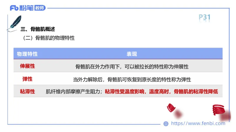 理论精讲-运动解剖学3_4-教培资料-26年最新资料-同步更新_科一科二电子资料合集中小幼（笔记真题知识点汇总等）文件多，按需保存_各机构笔记合集（中小幼）推荐_1理论精讲