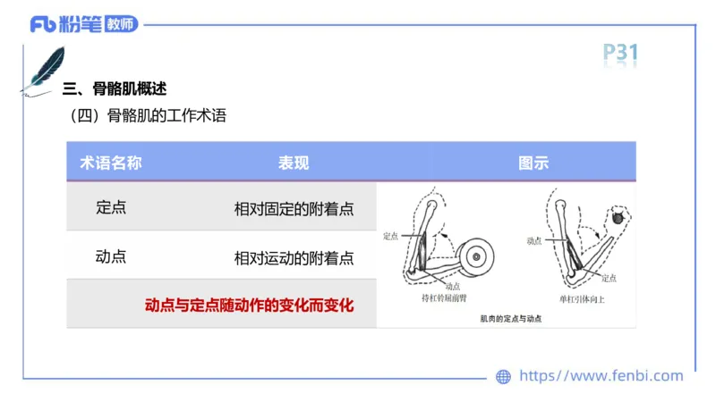 理论精讲-运动解剖学3_4-教培资料-26年最新资料-同步更新_科一科二电子资料合集中小幼（笔记真题知识点汇总等）文件多，按需保存_各机构笔记合集（中小幼）推荐_1理论精讲
