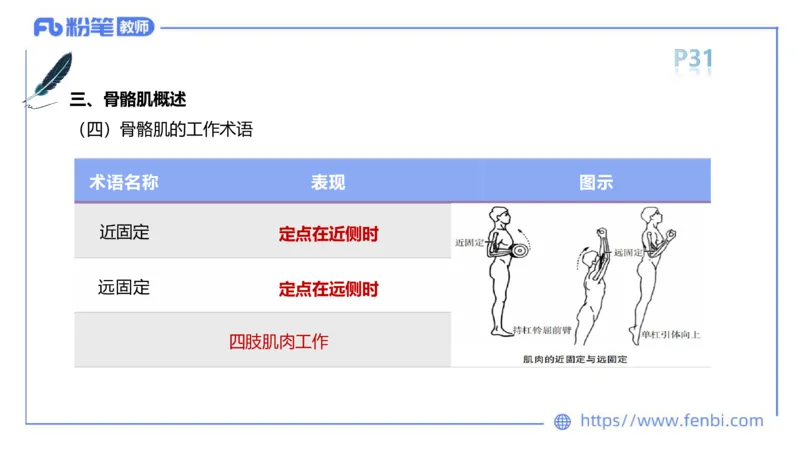 理论精讲-运动解剖学3_4-教培资料-26年最新资料-同步更新_科一科二电子资料合集中小幼（笔记真题知识点汇总等）文件多，按需保存_各机构笔记合集（中小幼）推荐_1理论精讲