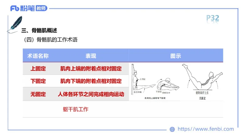 理论精讲-运动解剖学3_4-教培资料-26年最新资料-同步更新_科一科二电子资料合集中小幼（笔记真题知识点汇总等）文件多，按需保存_各机构笔记合集（中小幼）推荐_1理论精讲