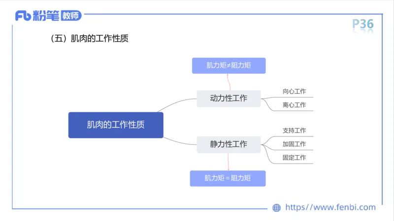 理论精讲-运动解剖学3_4-教培资料-26年最新资料-同步更新_科一科二电子资料合集中小幼（笔记真题知识点汇总等）文件多，按需保存_各机构笔记合集（中小幼）推荐_1理论精讲