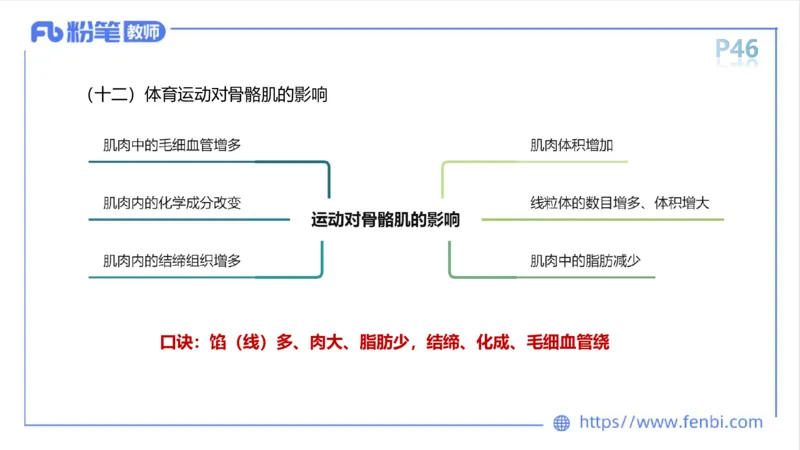 理论精讲-运动解剖学3_4-教培资料-26年最新资料-同步更新_科一科二电子资料合集中小幼（笔记真题知识点汇总等）文件多，按需保存_各机构笔记合集（中小幼）推荐_1理论精讲