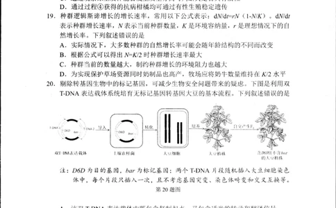 浙江省杭州市2024-2025学年高二下学期6月期末教学质量检测生物试题_2025年6月_250625浙江杭州市2024-2025学年高二下学期6月期末考试教学质量检测（全科）