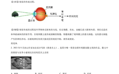 精品解析：2022年四川省凉山州中考生物真题（解析版）_中考真题_8.生物中考真题2015-2024年_2022年全国中考生物114份14