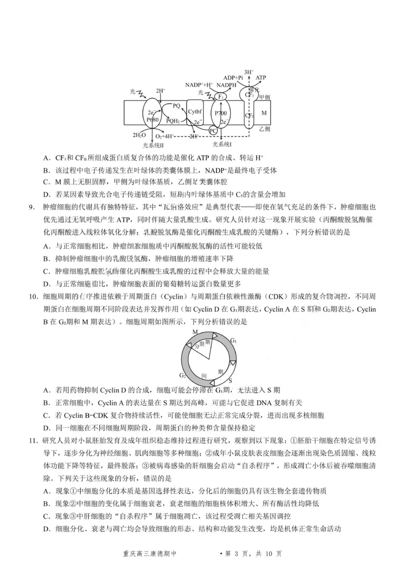 生物+答案-2025年秋康德高三11月调研测试试题卷_251114康德教育重庆市2026年普通高等学校招生全国统一考试11月调研测试（全科）