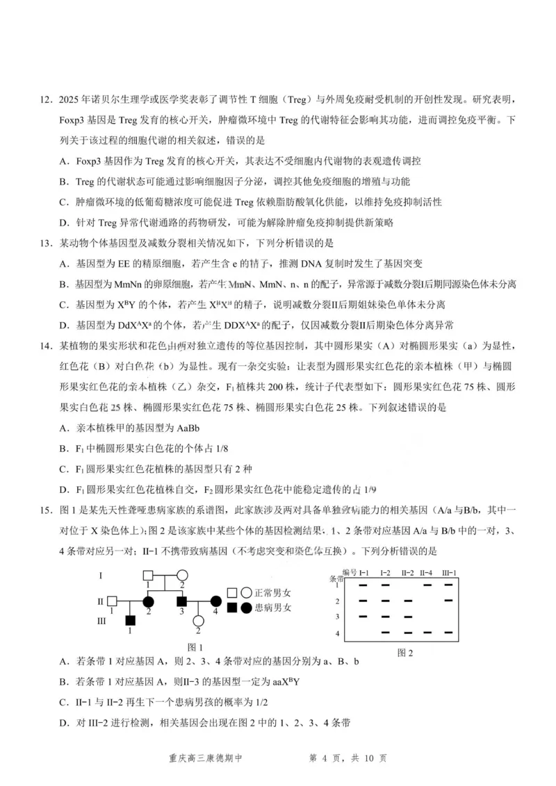 生物+答案-2025年秋康德高三11月调研测试试题卷_251114康德教育重庆市2026年普通高等学校招生全国统一考试11月调研测试（全科）