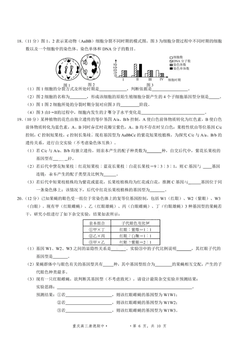 生物+答案-2025年秋康德高三11月调研测试试题卷_251114康德教育重庆市2026年普通高等学校招生全国统一考试11月调研测试（全科）