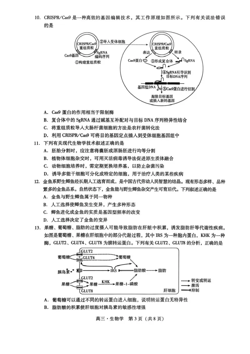 广东汕尾2026届高三上学期综合测试（一）生物试题+答案_2025年12月_251218广东汕尾2026届高三上学期综合测试（一）（全科）