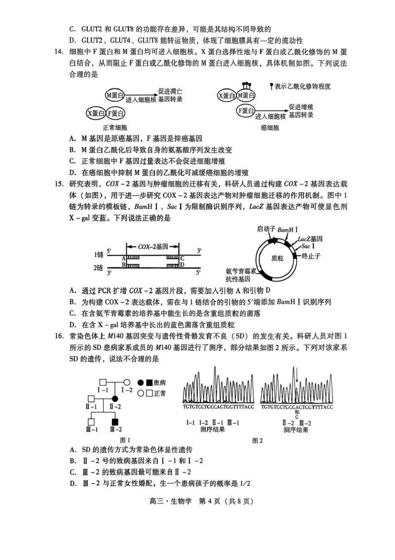 广东汕尾2026届高三上学期综合测试（一）生物试题+答案_2025年12月_251218广东汕尾2026届高三上学期综合测试（一）（全科）