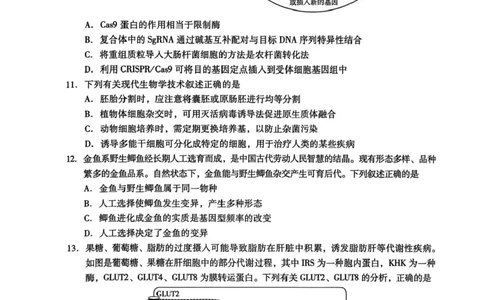 广东汕尾2026届高三上学期综合测试（一）生物试题+答案_2025年12月_251218广东汕尾2026届高三上学期综合测试（一）（全科）