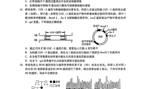 广东汕尾2026届高三上学期综合测试（一）生物试题+答案_2025年12月_251218广东汕尾2026届高三上学期综合测试（一）（全科）
