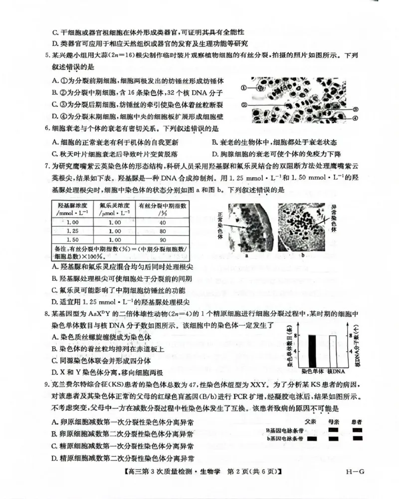 九师联盟2026届高三上学期11月联考生物(H-G)_251107九师联盟2026届高三上学期11月联考（全科）