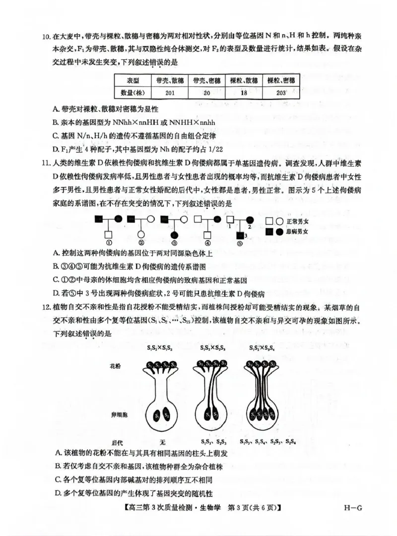 九师联盟2026届高三上学期11月联考生物(H-G)_251107九师联盟2026届高三上学期11月联考（全科）