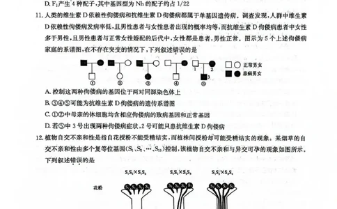 九师联盟2026届高三上学期11月联考生物(H-G)_251107九师联盟2026届高三上学期11月联考（全科）