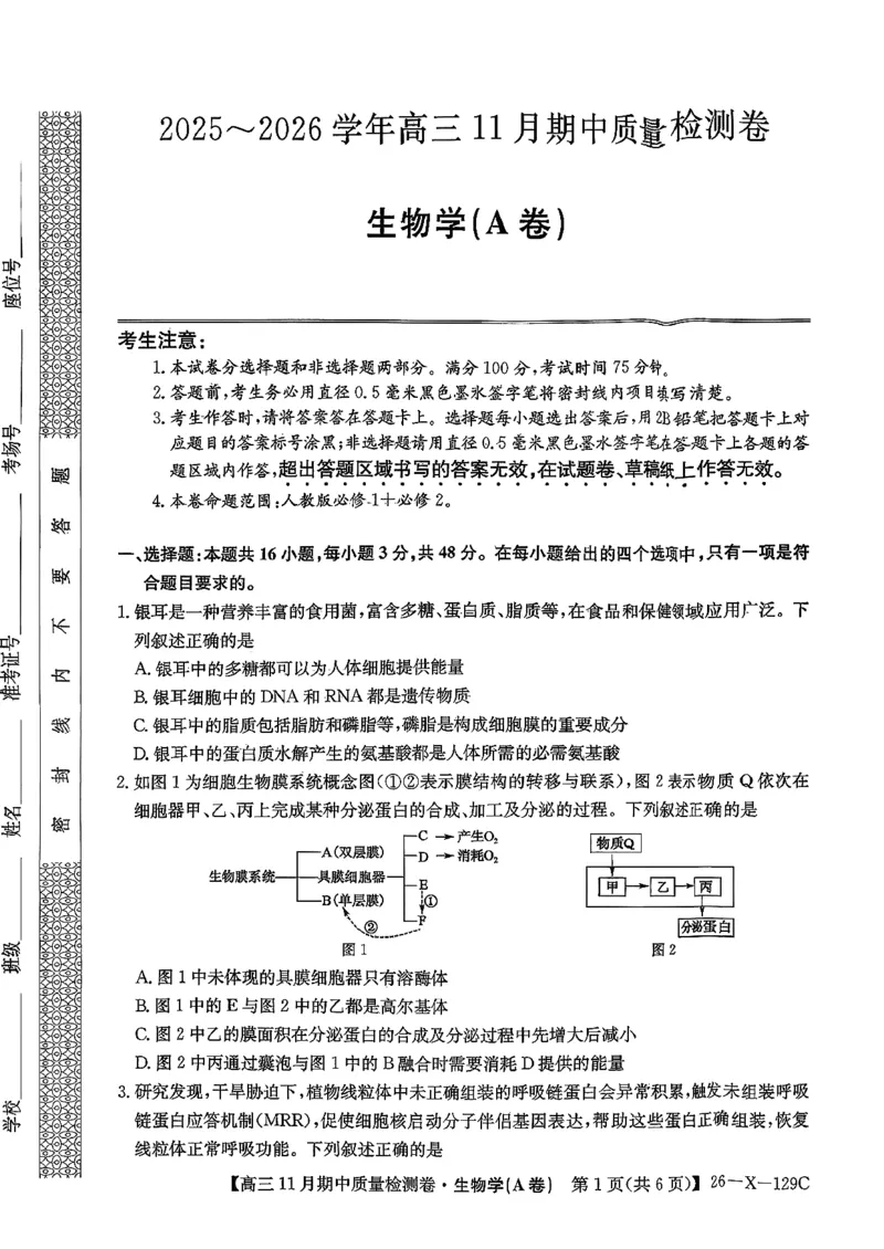 山西三晋卓越联盟（天成大联考）2025-2026高三11月期中质量检测生物试卷（含答案）_251109山西三晋卓越联盟（天成大联考）2025-2026高三11月期中质量检测（26-X-129C）