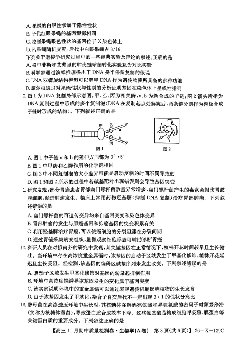 山西三晋卓越联盟（天成大联考）2025-2026高三11月期中质量检测生物试卷（含答案）_251109山西三晋卓越联盟（天成大联考）2025-2026高三11月期中质量检测（26-X-129C）