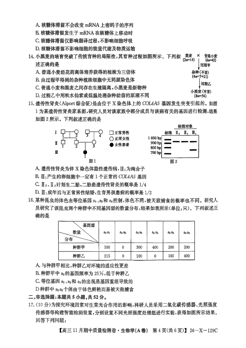 山西三晋卓越联盟（天成大联考）2025-2026高三11月期中质量检测生物试卷（含答案）_251109山西三晋卓越联盟（天成大联考）2025-2026高三11月期中质量检测（26-X-129C）