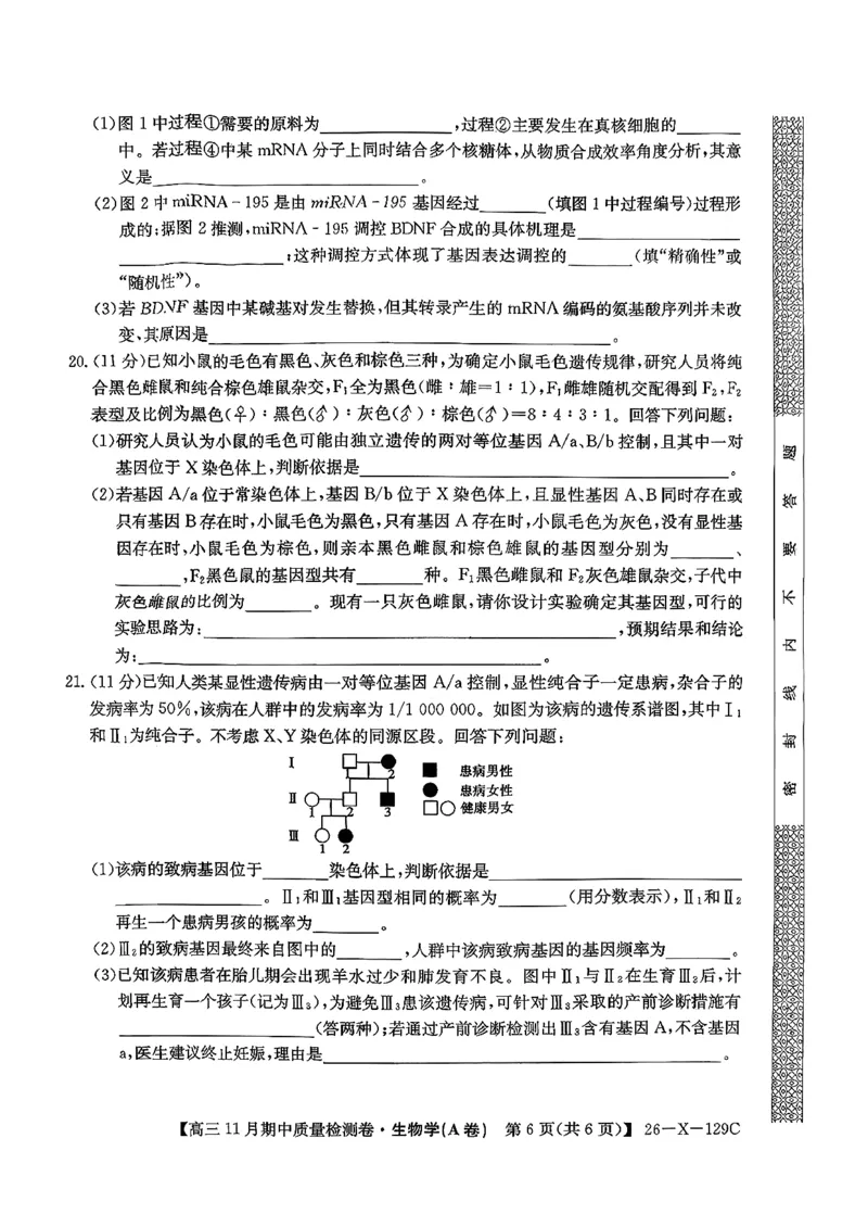 山西三晋卓越联盟（天成大联考）2025-2026高三11月期中质量检测生物试卷（含答案）_251109山西三晋卓越联盟（天成大联考）2025-2026高三11月期中质量检测（26-X-129C）