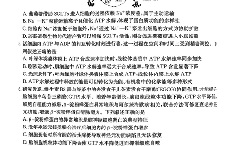 山西三晋卓越联盟（天成大联考）2025-2026高三11月期中质量检测生物试卷（含答案）_251109山西三晋卓越联盟（天成大联考）2025-2026高三11月期中质量检测（26-X-129C）