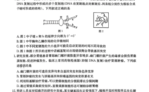 山西三晋卓越联盟（天成大联考）2025-2026高三11月期中质量检测生物试卷（含答案）_251109山西三晋卓越联盟（天成大联考）2025-2026高三11月期中质量检测（26-X-129C）