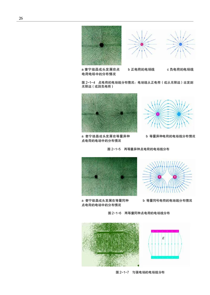 沪科教物理必修第三册高清教材_4-教培资料-26年最新资料-同步更新_初中高中教资_03科三专项（进去保存报考的学科即可）_02科三专项（笔记真题思维导图教学设计版本二）