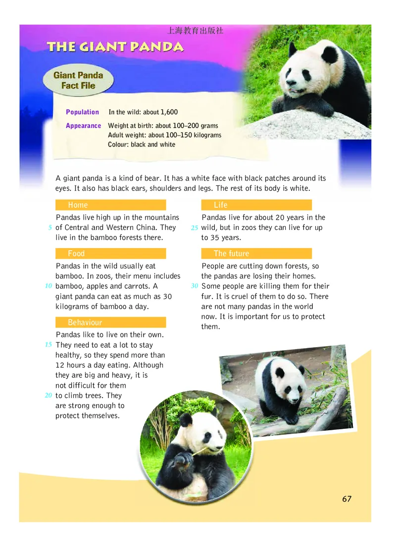 沪教版8年级英语下册高清教材_4-教培资料-26年最新资料-同步更新_初中高中教资_03科三专项（进去保存报考的学科即可）_02科三专项（笔记真题思维导图教学设计版本二）