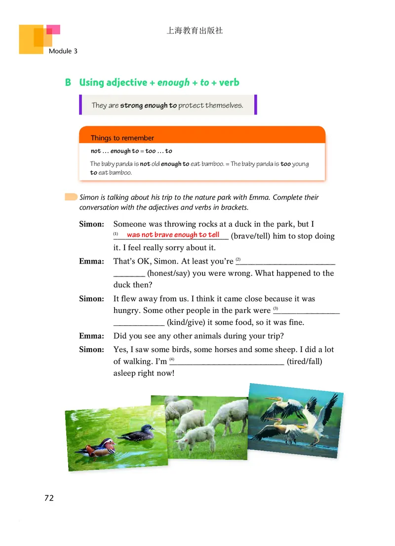 沪教版8年级英语下册高清教材_4-教培资料-26年最新资料-同步更新_初中高中教资_03科三专项（进去保存报考的学科即可）_02科三专项（笔记真题思维导图教学设计版本二）