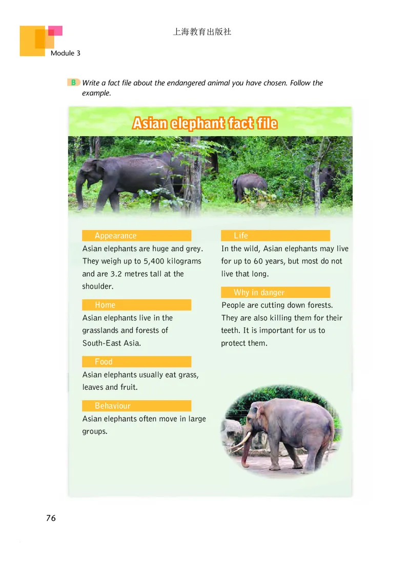 沪教版8年级英语下册高清教材_4-教培资料-26年最新资料-同步更新_初中高中教资_03科三专项（进去保存报考的学科即可）_02科三专项（笔记真题思维导图教学设计版本二）